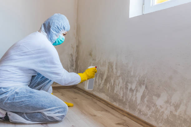 Licensed Crawl Space Mold Removal service in Shady Side, MD - WQB Mold Removal