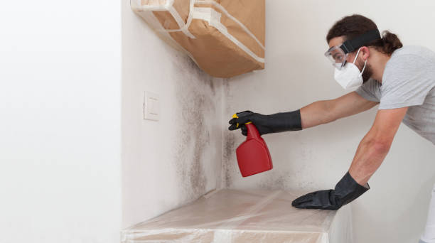 Professional Crawl Space Mold Removal technician working in Shady Side, MD